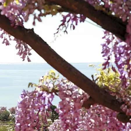 Galli - Wellness & - Parcheggio Gratuito 3* Marina di Campo